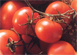 Tunisie : Les tomates plus chères Le prix de référence des tomates fraîches
