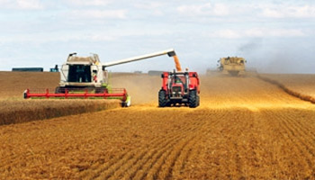 Tunisie : Forte hausse des cours mondiaux des céréales et du sucre Le déficit commercial de la Tunisie qui a atteint 897