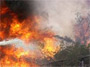 Tunisie : Des incendies préméditées ! Le gouverneur de Béja
