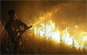 Tunisie-Manouba : Incendie dans une usine de fabrication de parfums Un important incendie s'est déclaré
