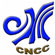 Tunisie : Lancement, le 5 juillet, du concours euro-méditerranéen « créatif 2012 » Le Centre National du Cuir et de la Chaussure (CNCC) organise en collaboration avec la Fédération Nationale du Cuir et de la Chaussure (FNCC)
