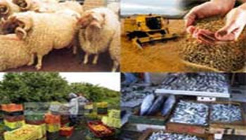Tunisie : Les investissements agricoles privés reculent de 5,9% L'Agence de Promotion des investissements agricoles table sur une croissance de 9% des investissements agricoles privés qu'elle approuvera en 2012