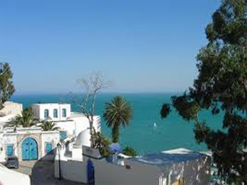 Tunisie : Les prix de limmobilier senvolent dans la banlieue nord de Tunis et les villes balnéaires La tendance générale de l’immobilier marque une légère correction en juin mais aussi une augmentation de 1