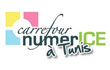 Tunisie : Carrefour NumerICE sinstalle en Tunisie Carrefour NumerICE