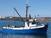Tunisie: Un navire egyptien percute un bateau de pêche tunisien Selon Radio Shems FM