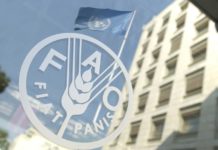 Les prix mondiaux des produits alimentaires reculent en juillet, selon la FAO