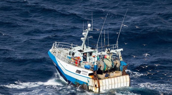 3 pêcheurs disparus à Teboulba: Les recherches se poursuivent pêche
