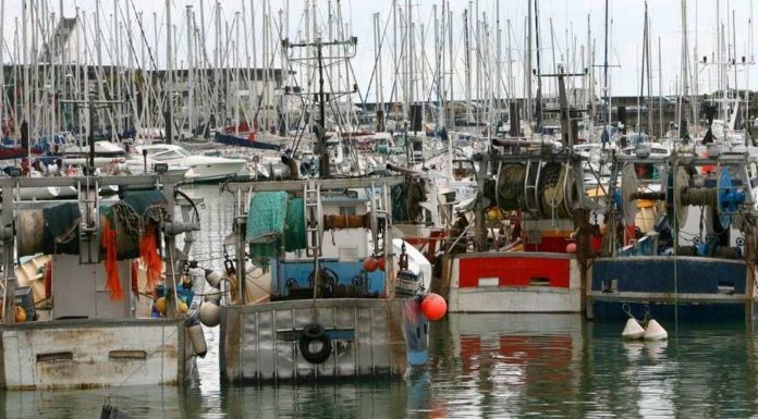 42 ports, 12.317 unités de pêche et 400 MDT de revenus