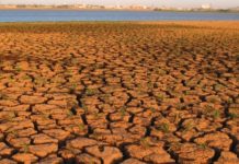 Changement climatique : la Belgique injecte 100 M€ par an en Afrique