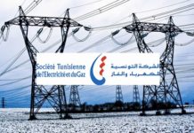 La commission des finances approuve deux garanties de prêts de 430 millions de dollars au profit de la STEG