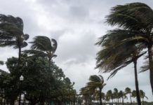 Alerte météo : Vents forts près des côtes, sur les hauteurs et le Sud vent