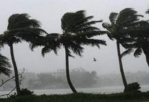Des rafales de vents sur le Sud- Ouest du pays