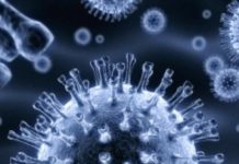 Apparition d’un nouveau virus dangereux et mortel !