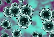 République de Djibouti-Coronavirus : 1 112 cas confirmés et 2 décès