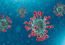 Le virus pourrait ne jamais disparaître, selon l’OMS
