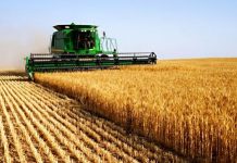 La recette pour juguler le péril alimentaire de la guerre en Ukraine