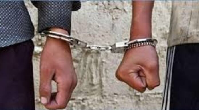 Tunisie : 40 détenus poursuivent leurs études dans les prisons