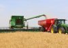 Coup d’envoi de la saison de moisson à Siliana