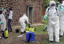 Ebola : Le CDC américain redoute 20 000 cas en trois mois