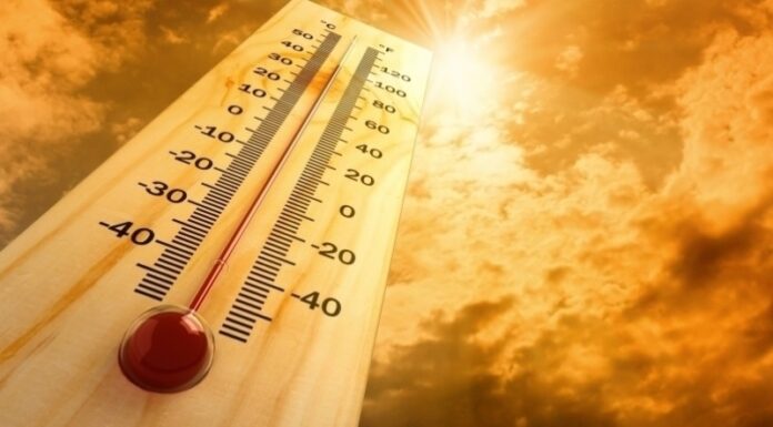 Les températures grimperont jusqu’à 47°c dans le sud du pays