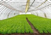 411,9 MD d’investissements agricoles privés approuvés au cours des 9 premiers mois de 2022