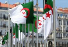 Algérie : Plus de 8.400 projets enregistrés jusqu’à juillet