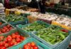 Marché de gros de Bir El Kassaa: Forte progression des approvisionnements et nette baisse des prix en juin 2026