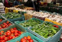 Marché de gros de Bir El Kassaa: Forte progression des approvisionnements et nette baisse des prix en juin 2026