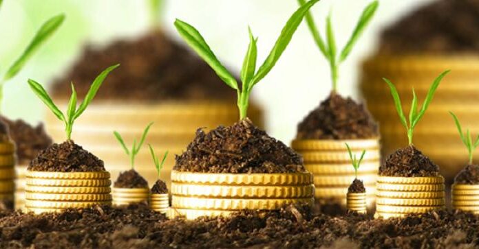 Zaghouan : Approbation de 57 investissements agricoles