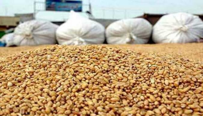 La Tunisie va acheter 125 000 tonnes de céréales