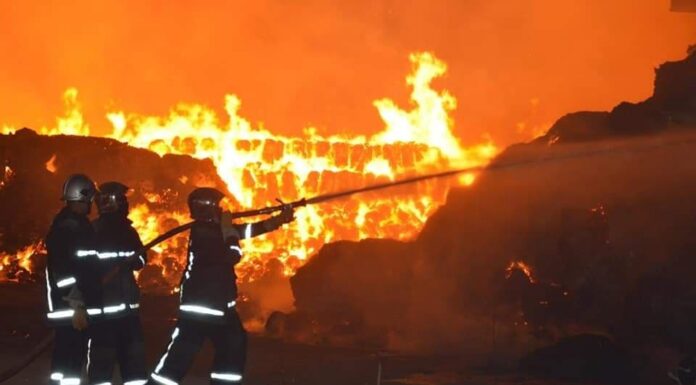 Manouba : Un incendie ayant ravagé 4 hectares de végétation à El Habibia maîtrisé