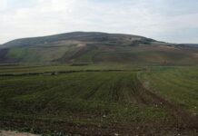 Récupération de 34 ha des terres domaniales à la Manouba