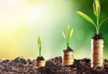 Baisse de 25,4% de la valeur des investissements agricoles approuvés à fin août 2023
