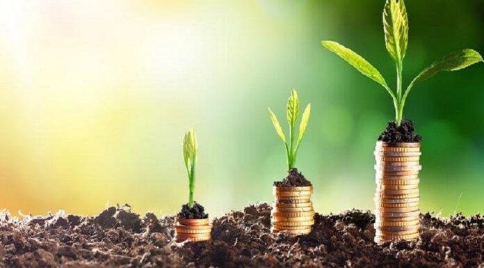 56 dossiers d’investissement agricole à 1,939 MDT, approuvés à Sousse