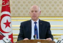 Saied inspecte l’état des ressources hydriques à Jendouba