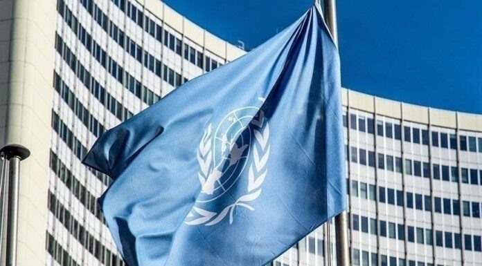 Les experts de l’ONU appellent tous les pays à reconnaître la Palestine