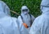 Ebola: Près de 500 cas confirmés en Afrique centrale, selon l’OMS