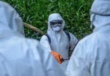 RDC : une nouvelle épidémie d’Ebola déclarée