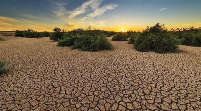 Les changements climatiques ont contribué à une hausse de 0,9% de l’inflation en Tunisie
