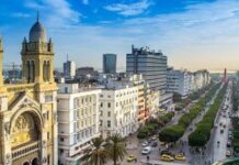 La Tunisie est-elle un pays arabe ?
