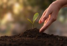 Algérie: La CNMA affiche un bilan positif en 2025