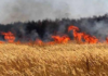 Krib: 17 hectares de terres agricoles ravagés par les flammes