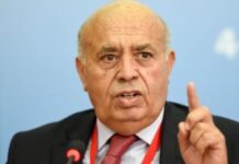 Briki doute que Saied démissionne si le non l’emporte au référendum