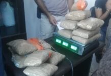 Saisie de 14,45 kg de cocaine au port de Zarzis