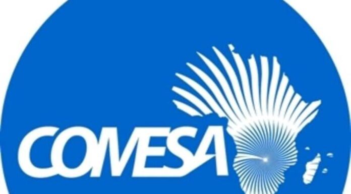 Les femmes entrepreneures du COMESA en juillet à Tunis