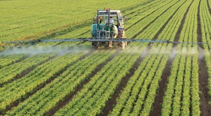 L’USDA vise à développer les opportunités de commerce agricole au Maroc