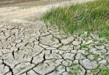 La Tunisie a besoin de 24,4 milliards d’USD pour répondre au changement climatique