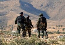 Trois terroristes abattus sur les hauteurs de Salloum