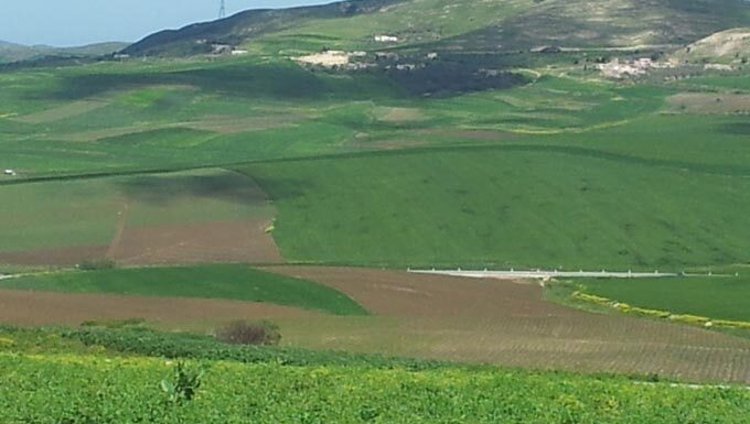 Récupération de deux terrains domaniaux agricoles de 5 ha à Gaâfour