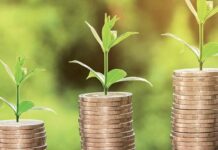 Les 300 opportunités d’investissements agricoles de l’APIA